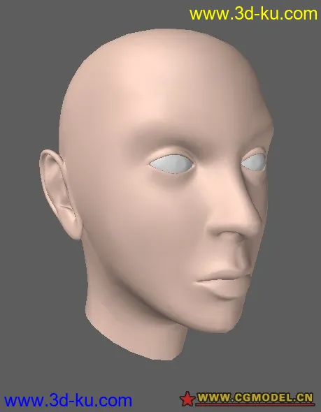 Lacuna Head Bust模型的图片1