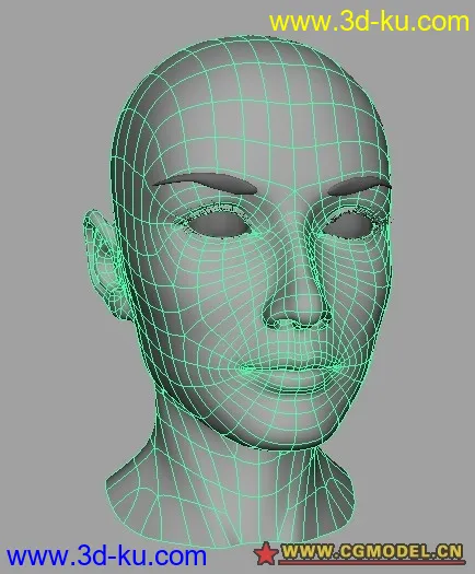 女人头部模型的图片3