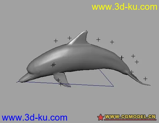 绑定好的海豚模型的图片1
