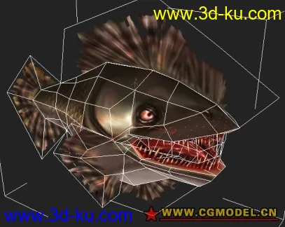 鱼2009模型的图片8