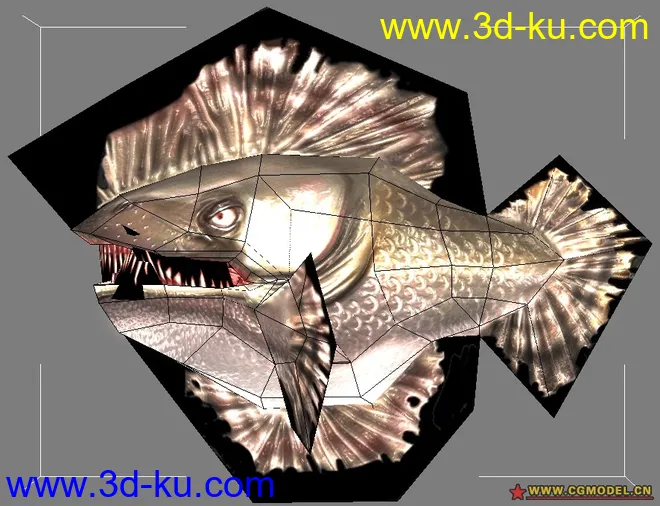 鱼2009模型的图片10