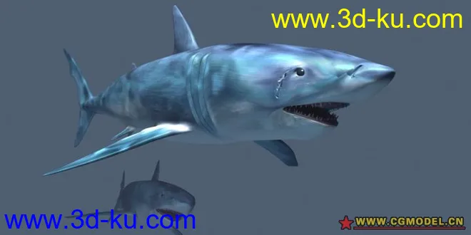 鲨鱼+犀牛+X   3个模型一个包,为你省积分的图片3