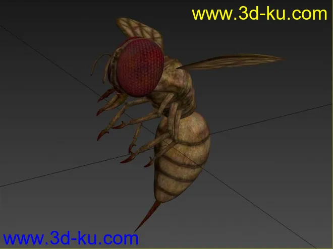 可怕的血黄蜂模型的图片2