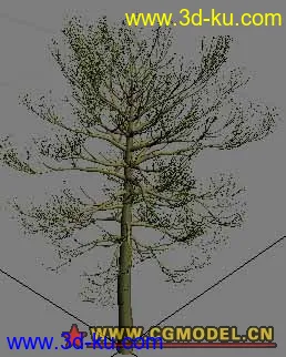 tree11模型的图片1