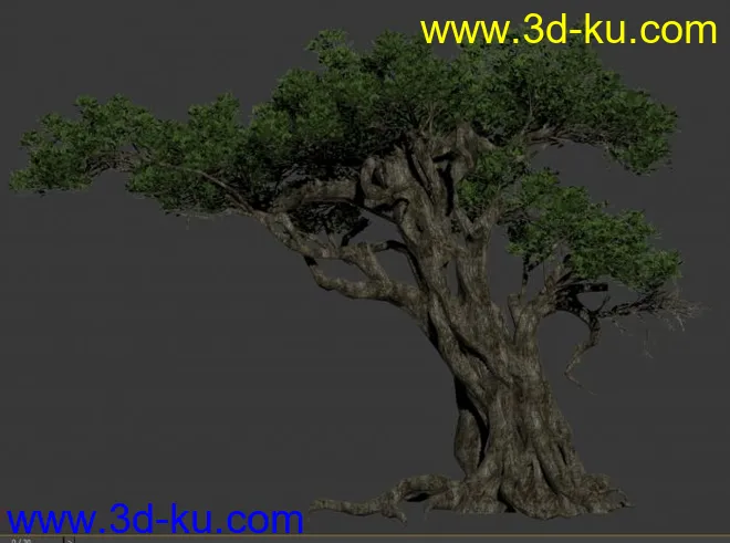 榕树模型2014版本的图片1