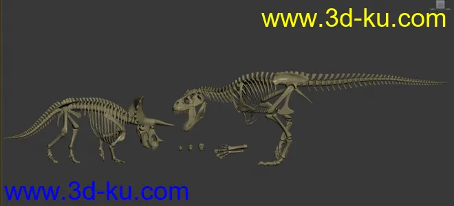 恐龙骨络恐龙骨络模型的图片1