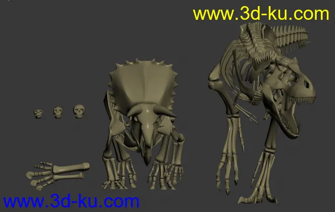 恐龙骨络恐龙骨络模型的图片2
