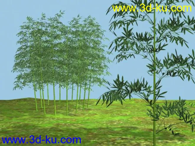 小竹林模型的图片1