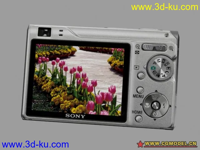 SONY W200相机模型的图片1