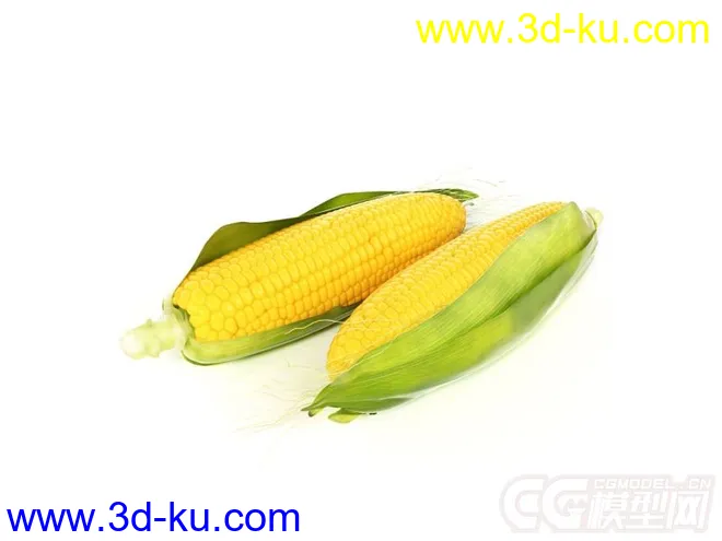 玉米模型的图片1