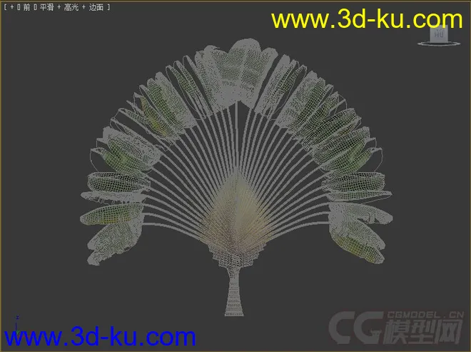 扇芭蕉 旅人树 孔雀树模型的图片2
