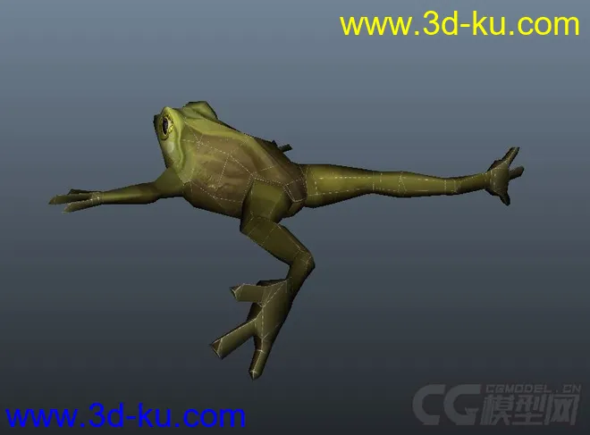 青蛙模型的图片2