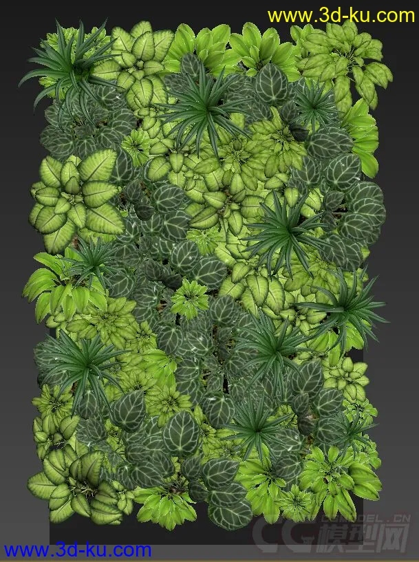 Fitostena 植物墙的模型的图片3