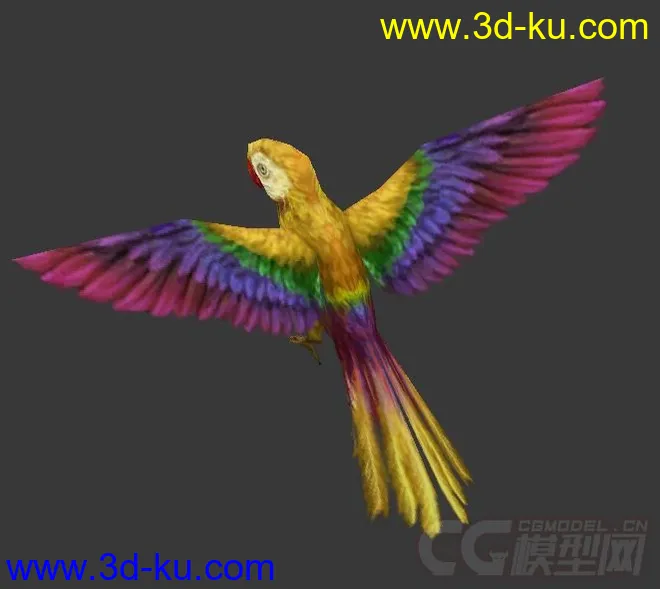 黄色鹦鹉一只模型的图片1