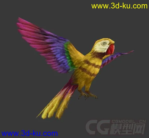 黄色鹦鹉一只模型的图片2