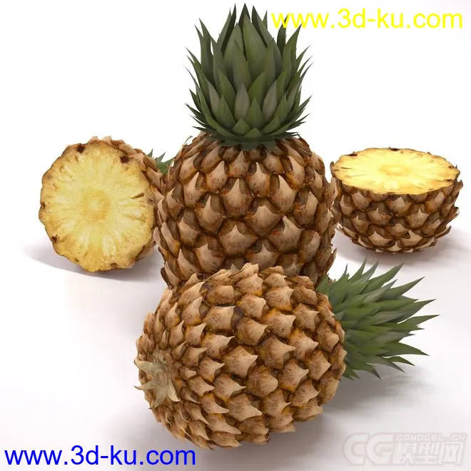 热带水果 菠萝模型的图片1