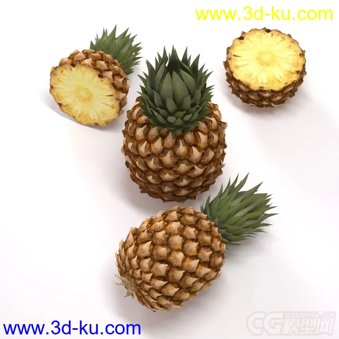 热带水果 菠萝模型的图片2