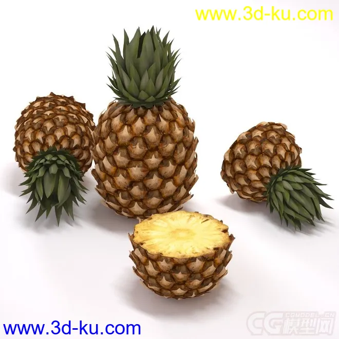 热带水果 菠萝模型的图片5