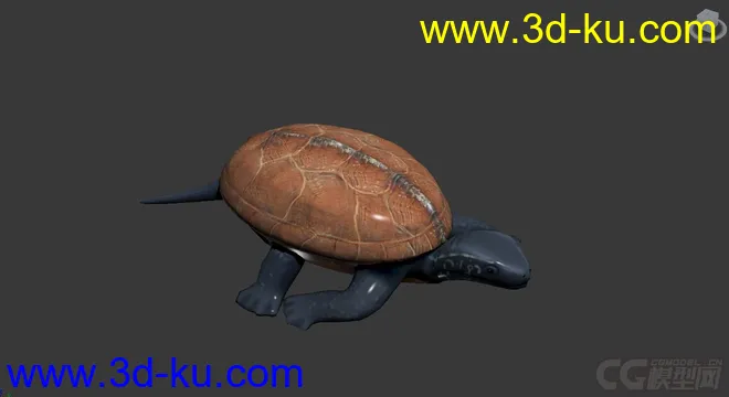 一只乌龟模型的图片1