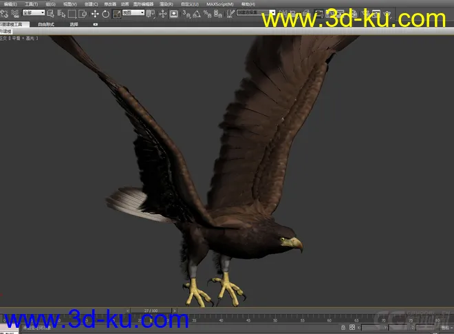 鹰  老鹰带蒙皮 有动画模型的图片1