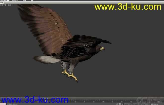 鹰  老鹰带蒙皮 有动画模型的图片2