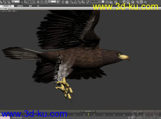 鹰  老鹰带蒙皮 有动画模型的图片3