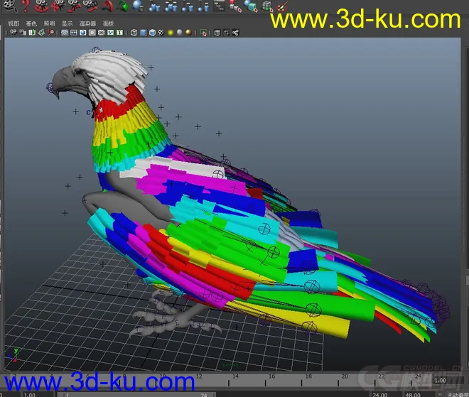 鹰---hawk收翅MAYA2012模型的图片2