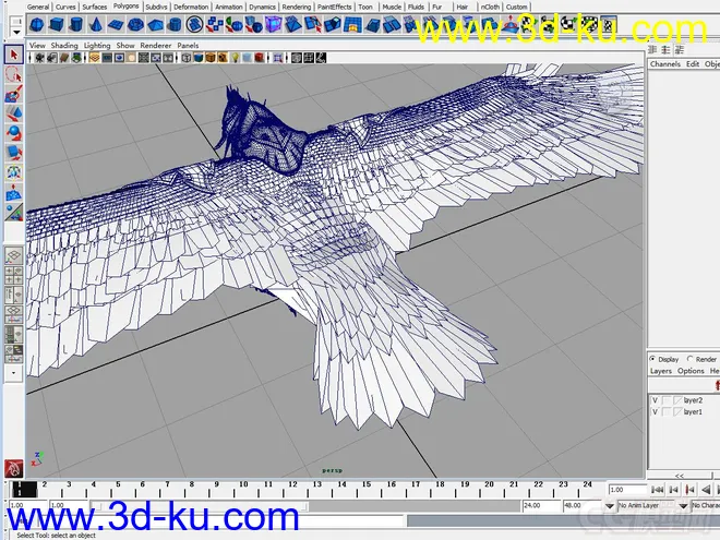 鹰---老鹰 战鹰模型的图片5
