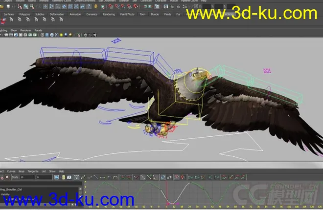 鹰 ---飞翔的大鹰maya模型绑定好的图片1