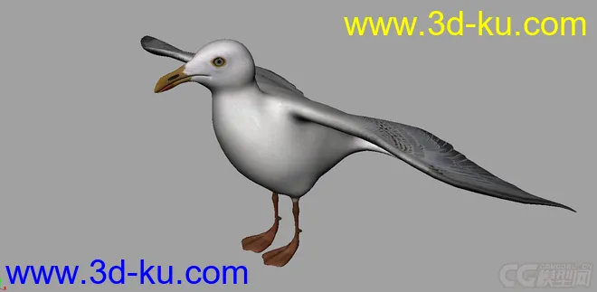 海鸥 seagull-max2010模型的图片1
