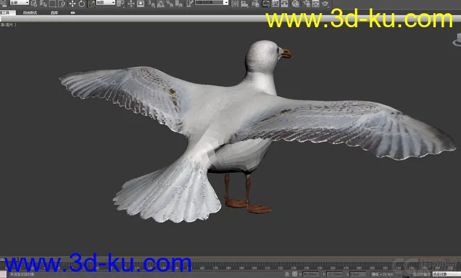 海鸥 seagull-max2010模型的图片2