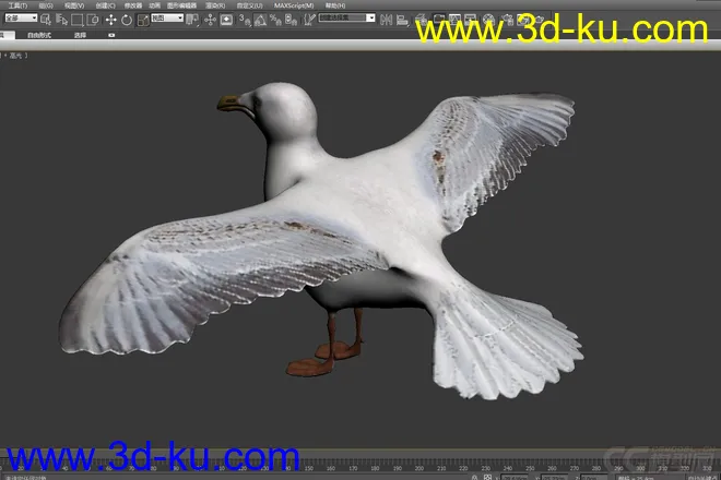 海鸥 seagull-max2010模型的图片3