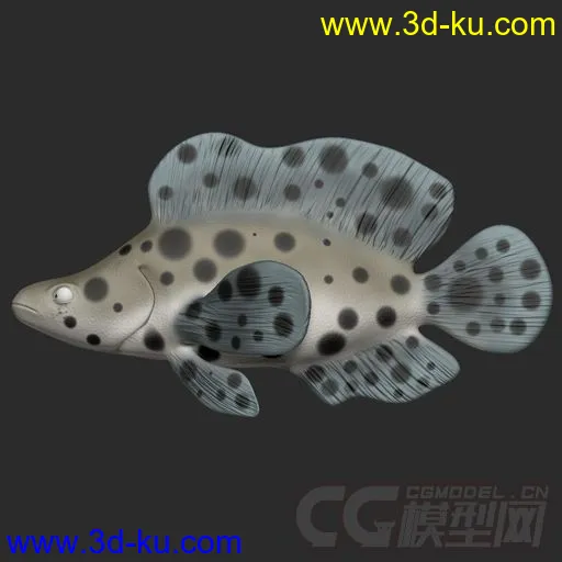 Fish Rigs PantherGrouper with textures模型的图片1