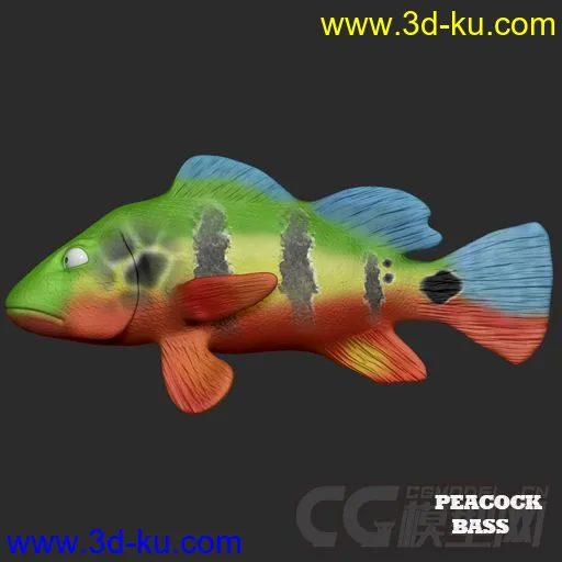 Fish Rigs PeacockBass with textures模型的图片1