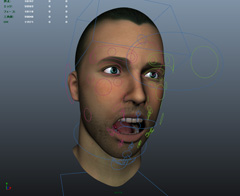 ElTom (only face) character rig full facial controls with textures模型的图片1