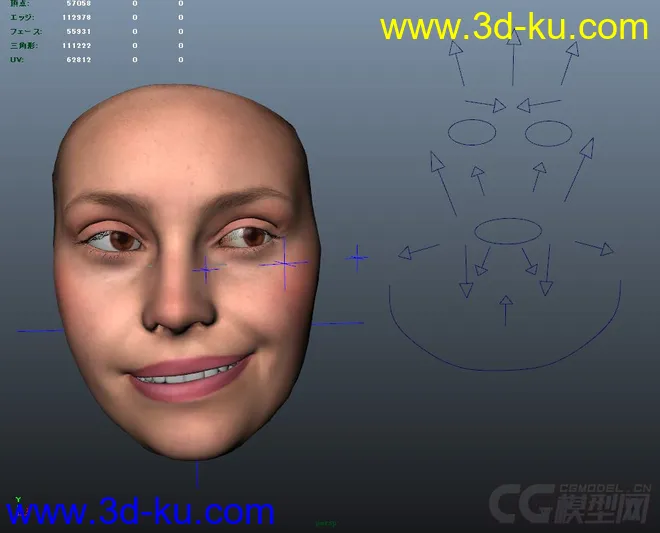 Emily (only face) character rig full facial controls with textures模型的图片1