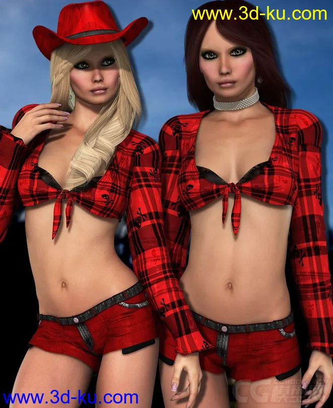 Poser - DAZ3D - NYC Couture for Country Girl模型的图片3