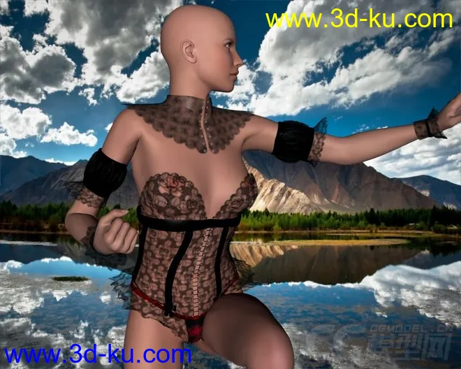 DAZ3D - Poser - Hot Sominas Delight for V4模型的图片6