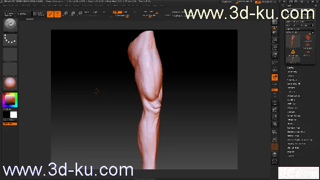 手臂大腿模型的图片2