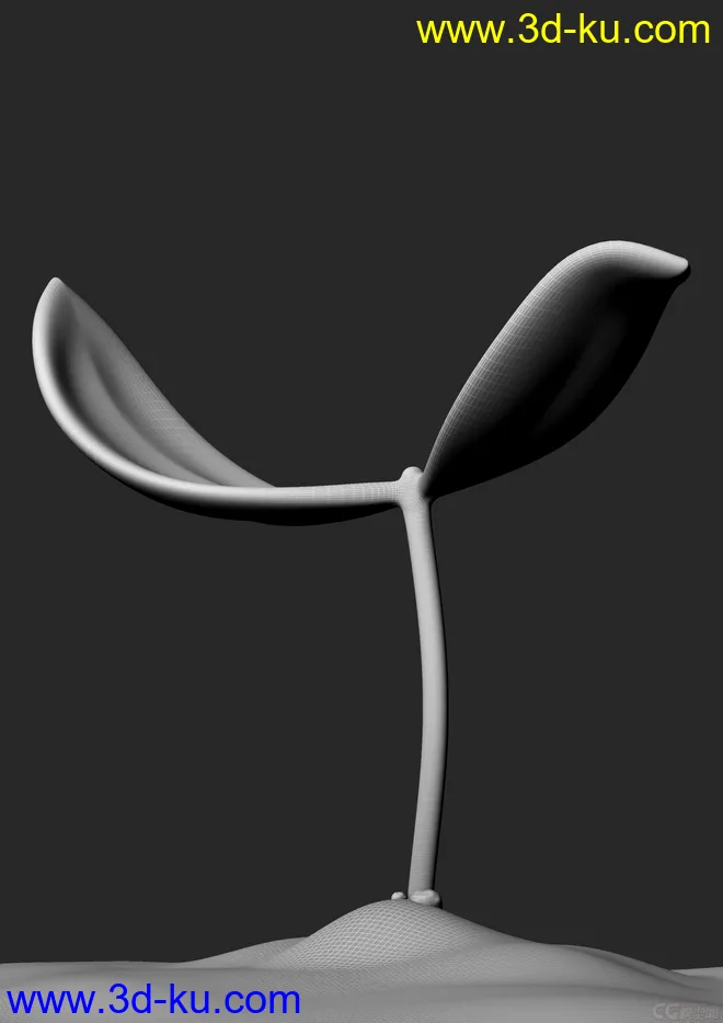 小生命 植物嫩芽模型的图片1