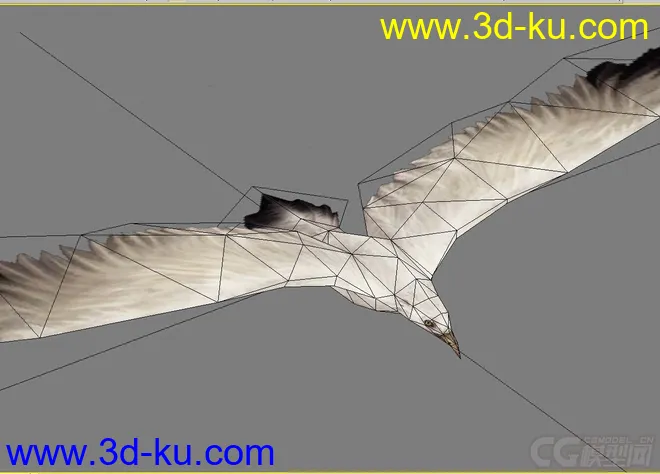 海鸥模型的图片4