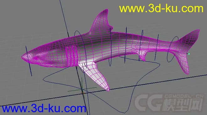 影视动画系列大白鲨模型的图片1