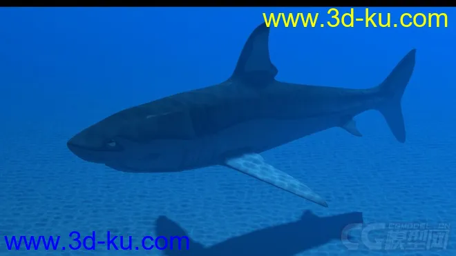 影视动画系列大白鲨模型的图片4