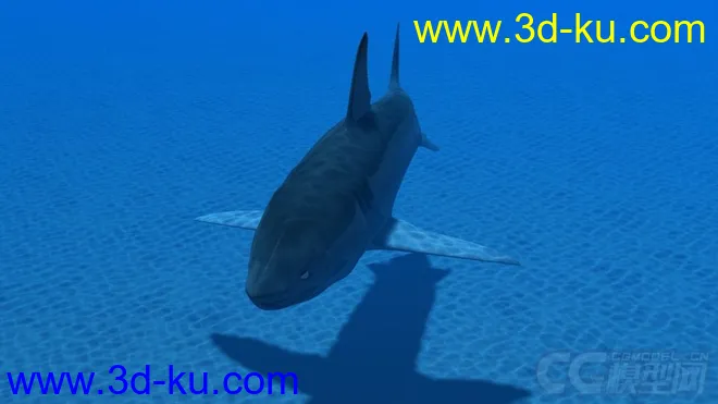 影视动画系列大白鲨模型的图片6