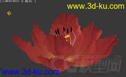 玫瑰花（带花开动画摄影灯光）模型的图片1