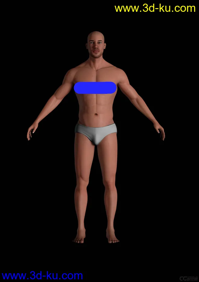 男人体模型 已贴图的图片1