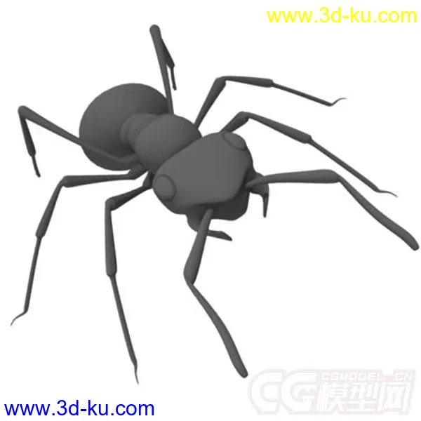 红林蚁、蚂蚁模型的图片3