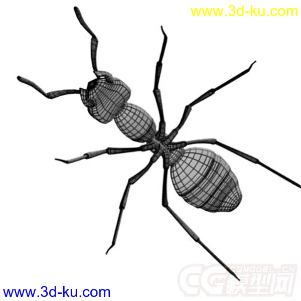 红林蚁、蚂蚁模型的图片6