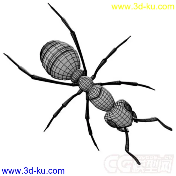 红林蚁、蚂蚁模型的图片7