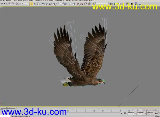 老鹰--- 写实逼真带各种动作模型的图片3